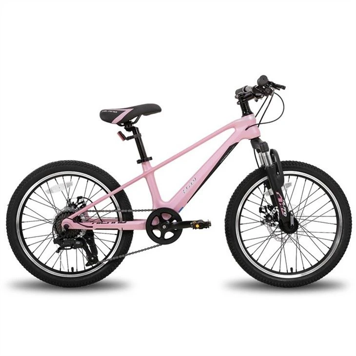 20 Inch Magnesium Alloy Kids Mountain Bike