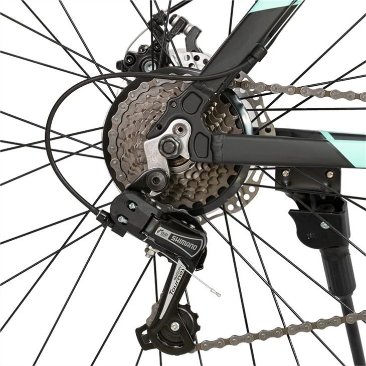 Customized Hardtail Mountain Bike