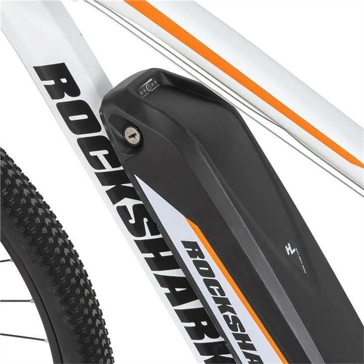 Electric Mountain Bike Pricelist